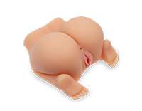 Fessier levrette sodomie vagin et anus