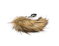 image plug queue animal renard