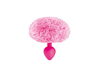 image plug anal queue animal lapin