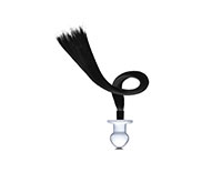 image plug anal queue animal cheval