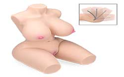 vaginette Buste masturbateur articulé Lena