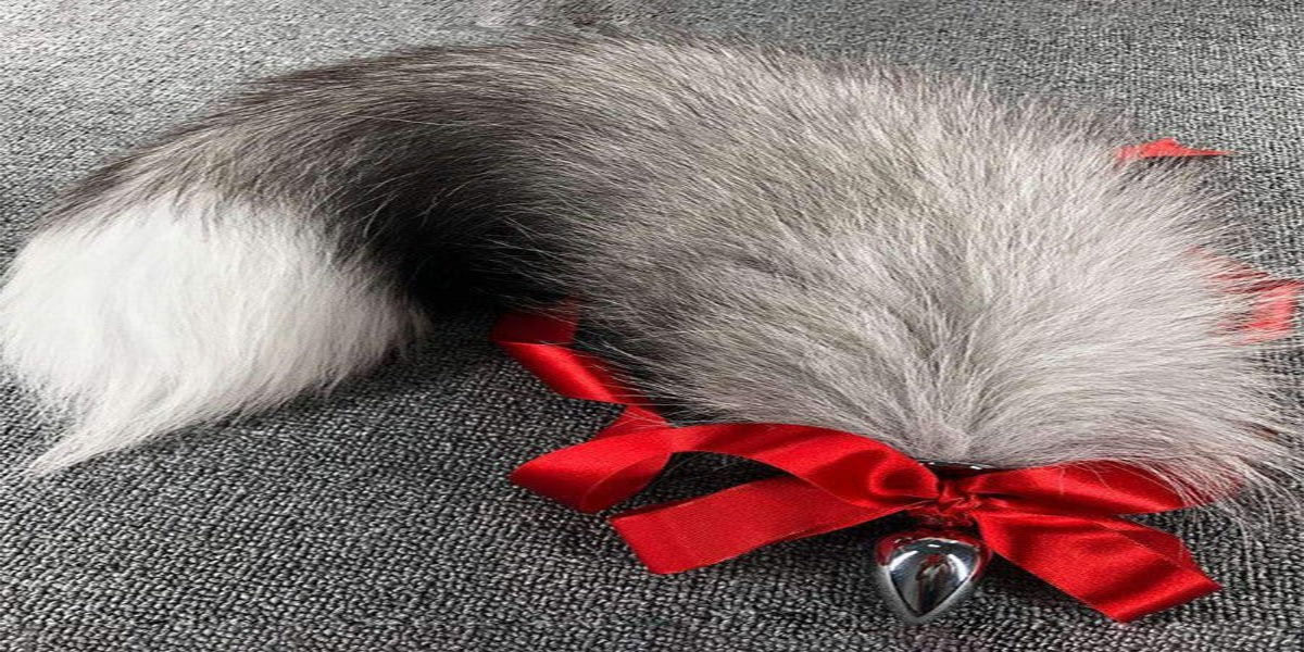 image plug anal queue animale